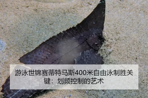 游泳世锦赛蒂特马斯400米自由泳制胜关键：划频控制的艺术